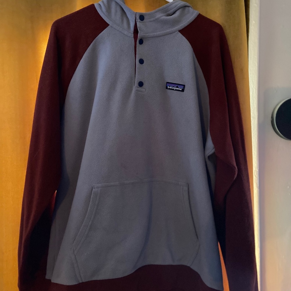 Patagonia micro d fleece hoodie